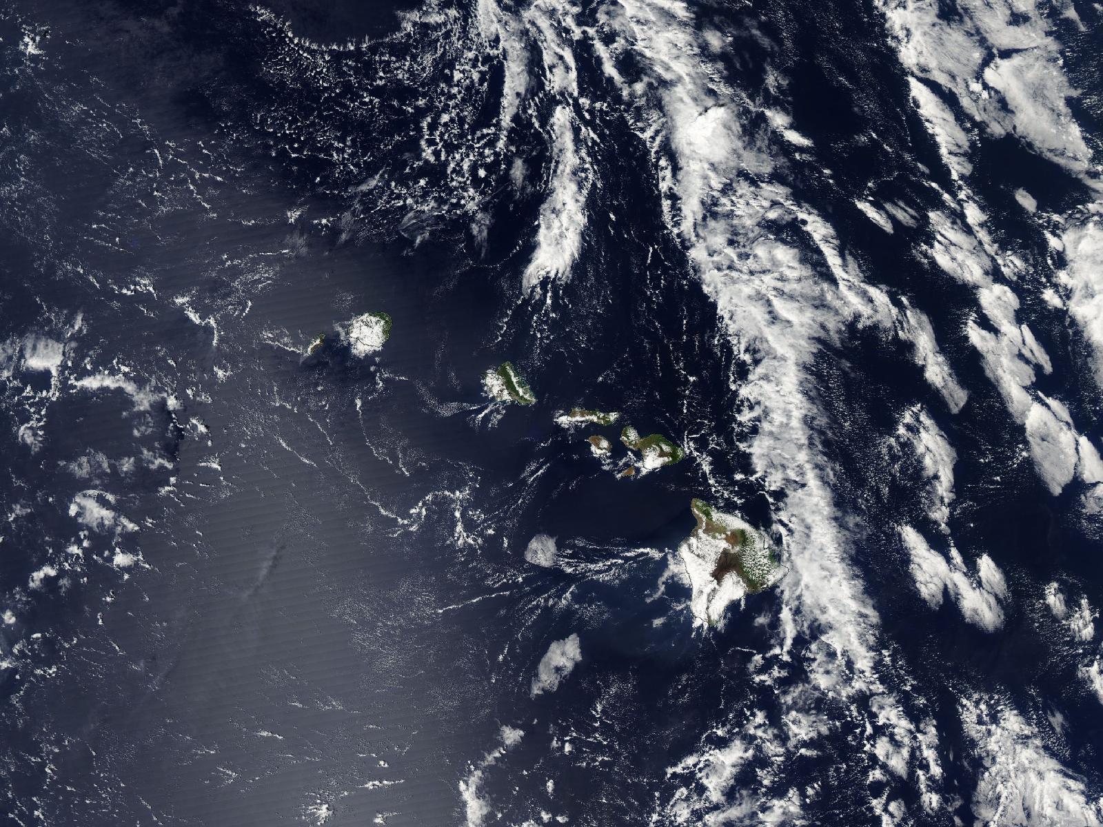 Satellite photo of Hurricane Jova (2005)